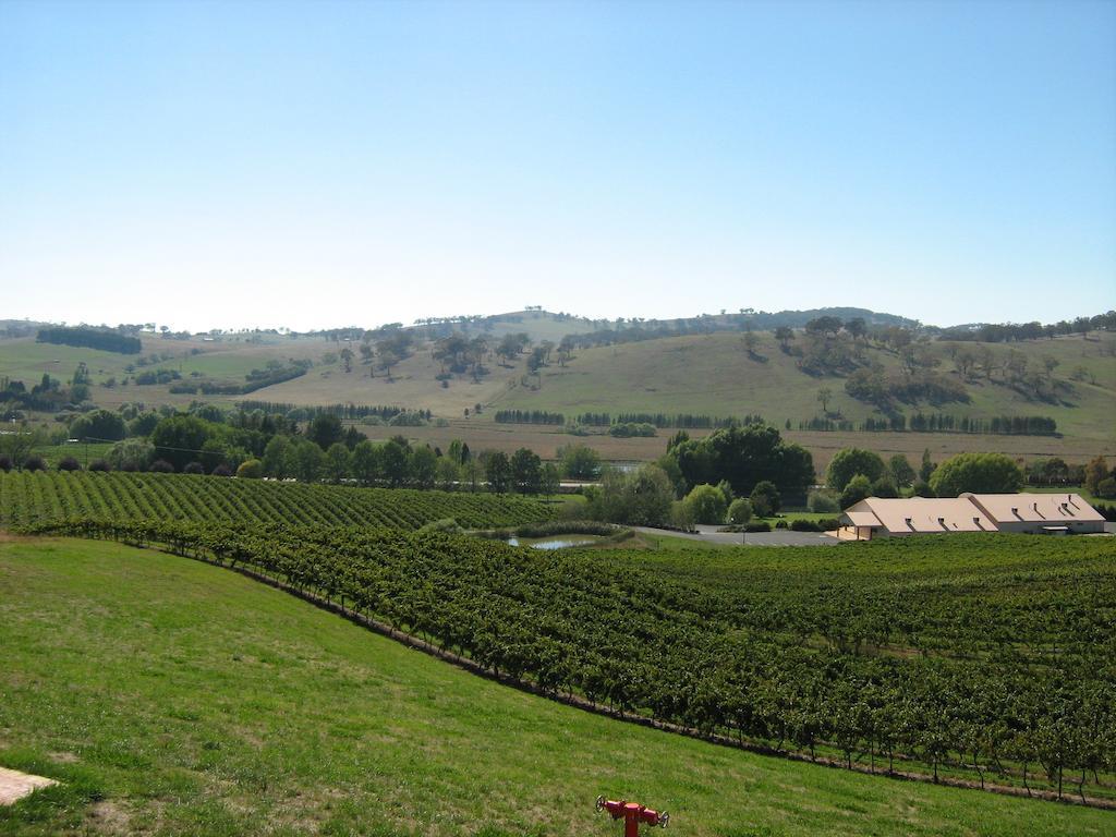 Turners Vineyard Motel Orange Zimmer foto